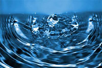 Apa are sentimente, energie, memorie si viata