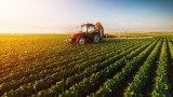 Agricultura